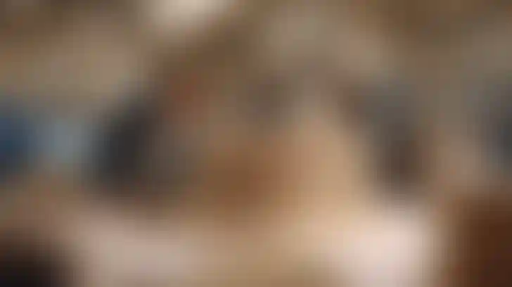 Команда сформирована из профессионалов