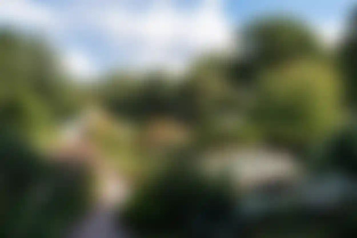 Семейный квартал КОД Сокольники и парк «Сокольники» стали партнерами