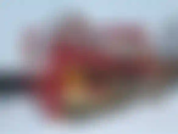 Изображение проекта