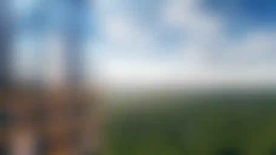 ВИДЫ НА ПРУД ИЛИ ПАРК