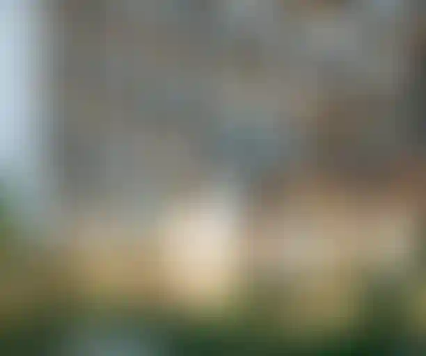 Изображение проекта